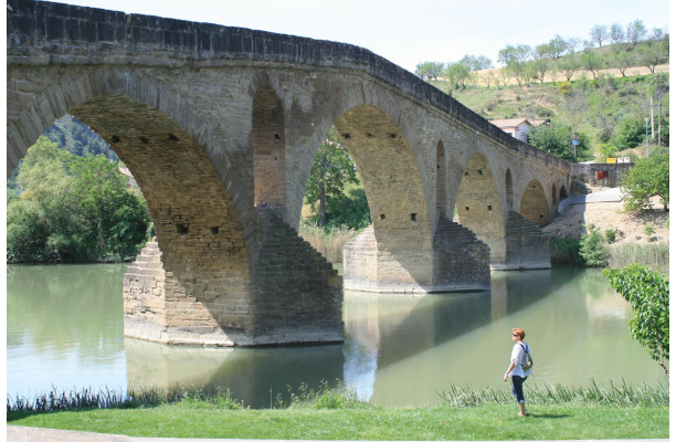 De Navarre en Aragon