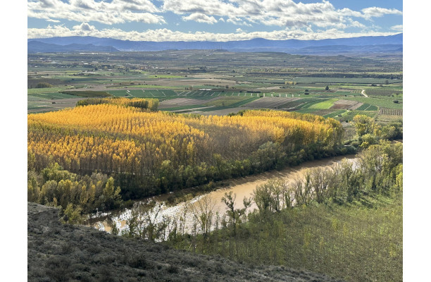De Navarre en Aragon