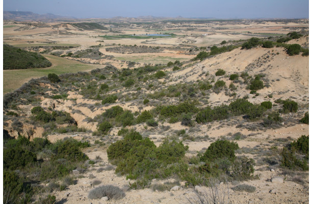 De Navarre en Aragon