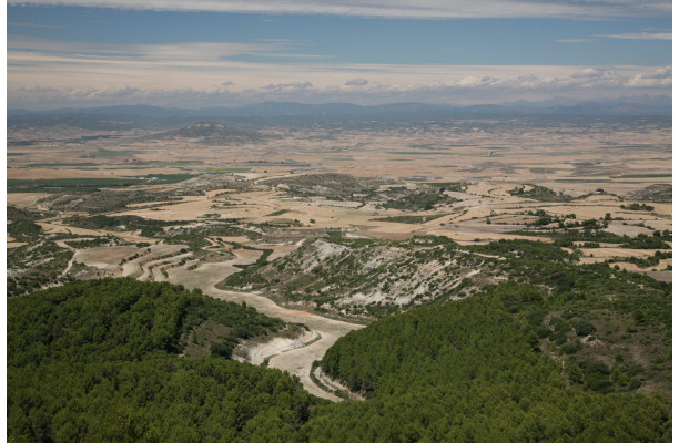 De Navarre en Aragon