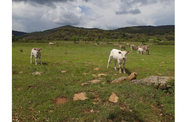 L'Espagne du Nord au Sud - Partie 1 Version numérique