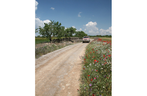 L'Espagne du Nord au Sud - Partie 1 Version numérique