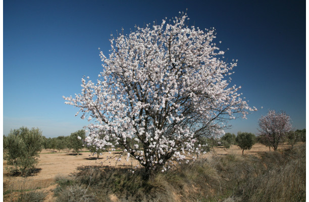 L'Espagne du Nord au Sud - Partie 1 Version numérique