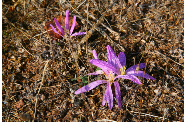 L'Espagne du Nord au Sud - Partie 1 Version numérique