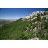 L'Espagne du Nord au Sud - Partie 2