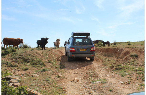 L'Espagne du Nord au Sud - Partie 2