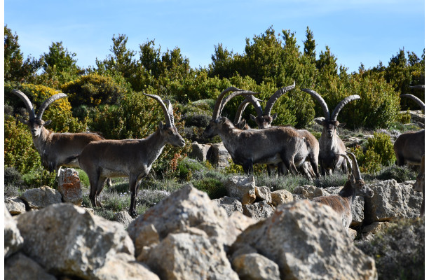 L'Espagne du Nord au Sud - Partie 2 Version numérique