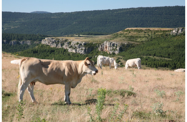 L'Espagne du Nord au Sud - Partie 2 Version numérique
