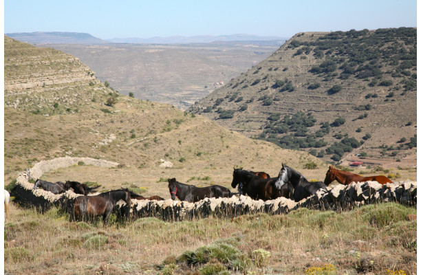 Pack Sierras (RB n°2 + RB n°5)