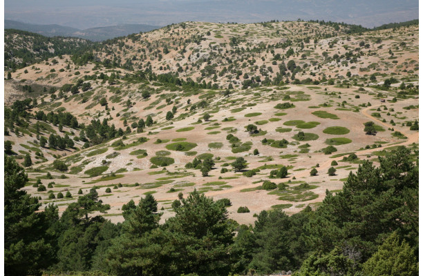 Les Monts Universels