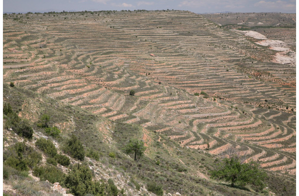 Les Monts Universels