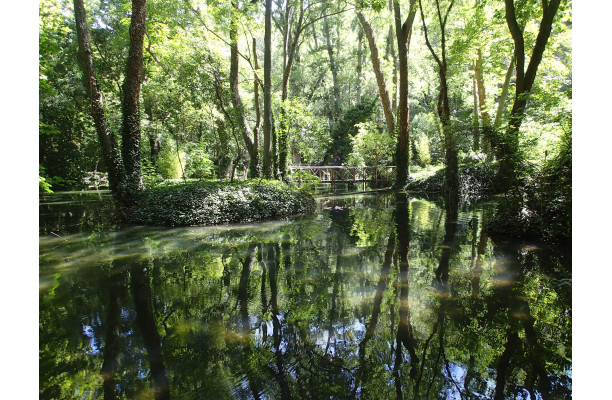 Les Monts Universels