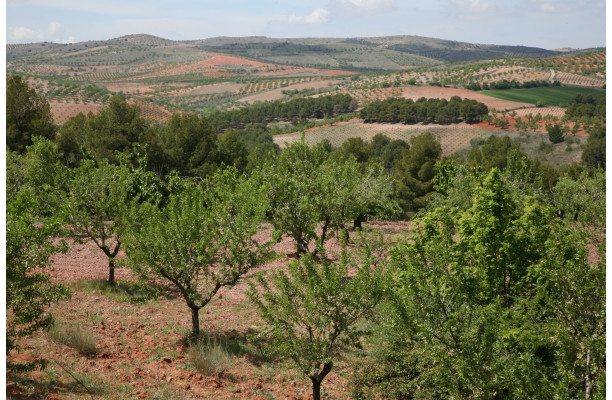 Les Monts Universels - Version numérique